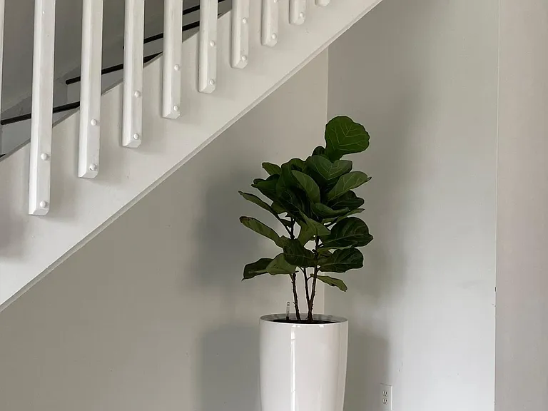 Madeira Dr — Photo 11