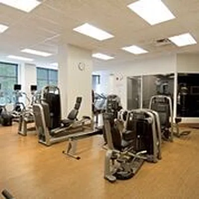 Rented by The Monterey | media 10