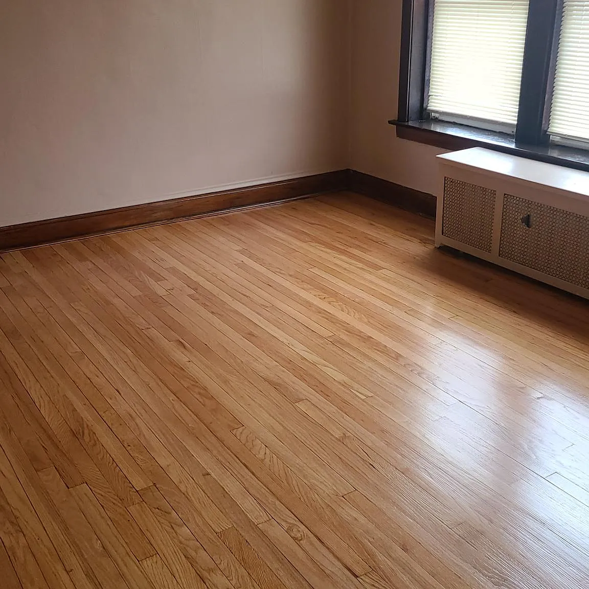 1 bed, 1200 sqft, $1,085 — Photo 4