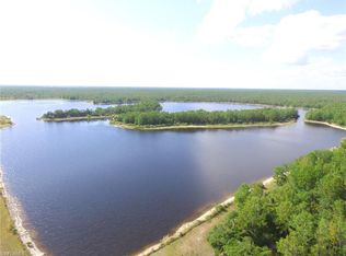 125 Shady Hollow Blvd W LOT 1, Naples, FL 34120