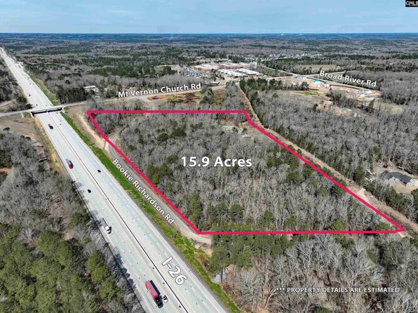 1160 Bookie Richardson Rd, Chapin, SC 29036