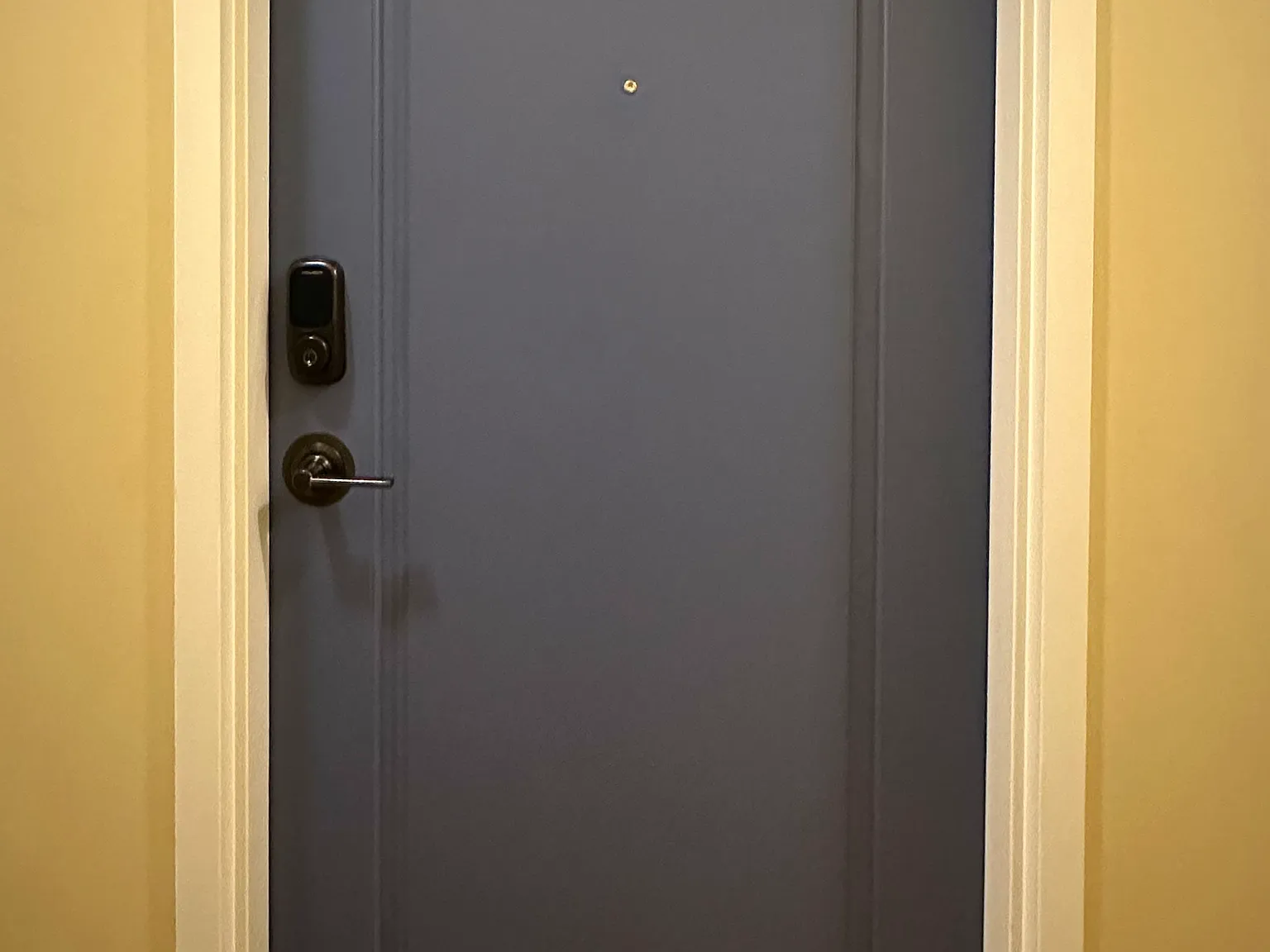 1 bed, 915 sqft, $1,500 — Photo 2