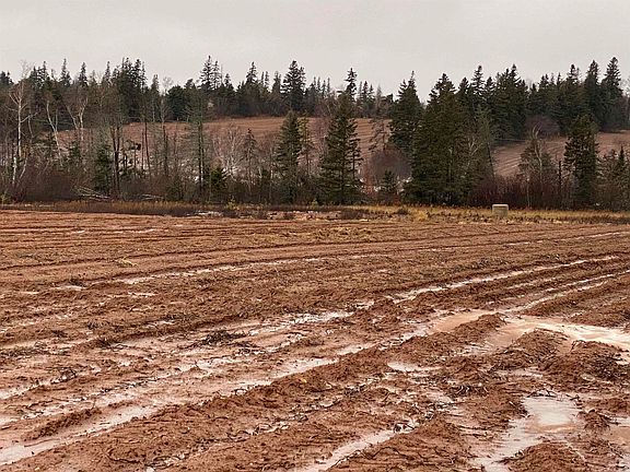 2nd image of Scales Pond Rd