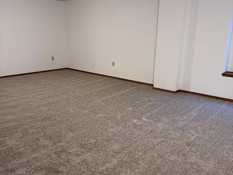 Large basement family room.