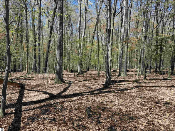 0 Martin Rd, Honor, MI 49640