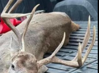 Bradley #351, Hermitage, AR 71647