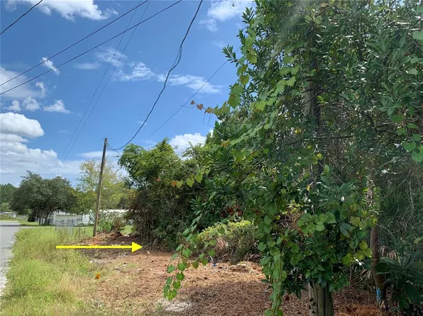 3 Poinsettia Ave, Paisley, FL 32767