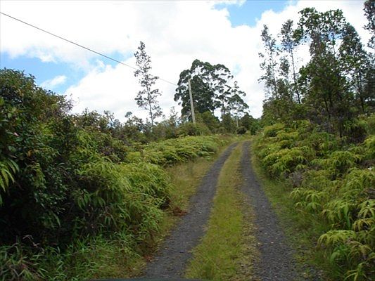2nd image of Mikana St