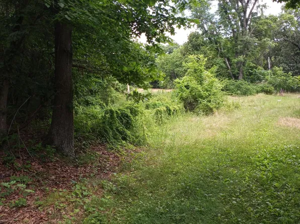 15734 Farm Road 2140, Cassville, MO 65625