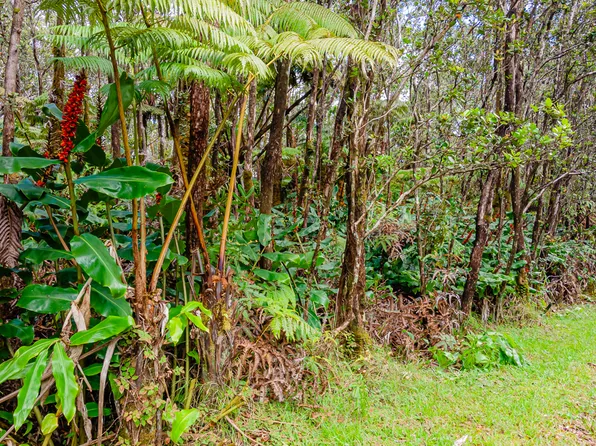 11-3854 10th St Lot 864, Volcano, HI 96785