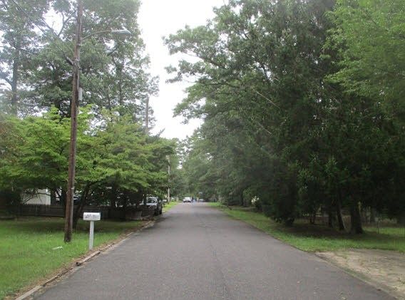 4th image of 36 W Morton Ave