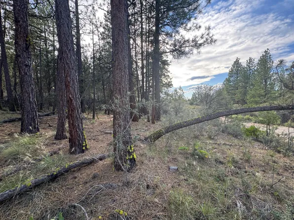 0 Partin Dr #6, Beatty, OR 97621