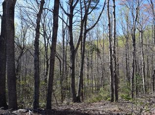 Dogwood Mountain Ln, Woolwine, VA 24185