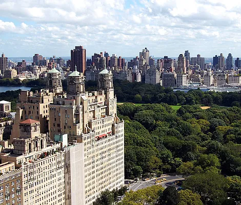 Sold by Carol E Levy | media 37