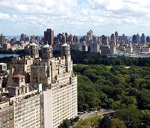 Sold by Carol E Levy