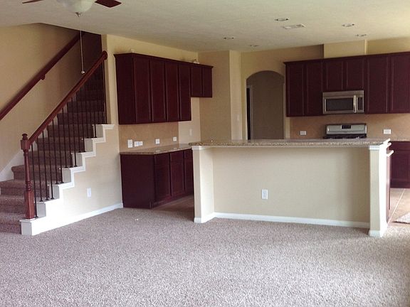 3-3310 Orchid Trace_04242014