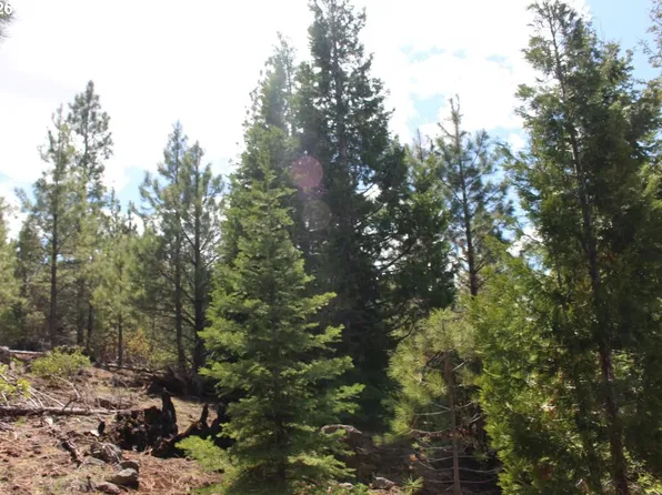(undisclosed Address), Lakeview, OR 97630