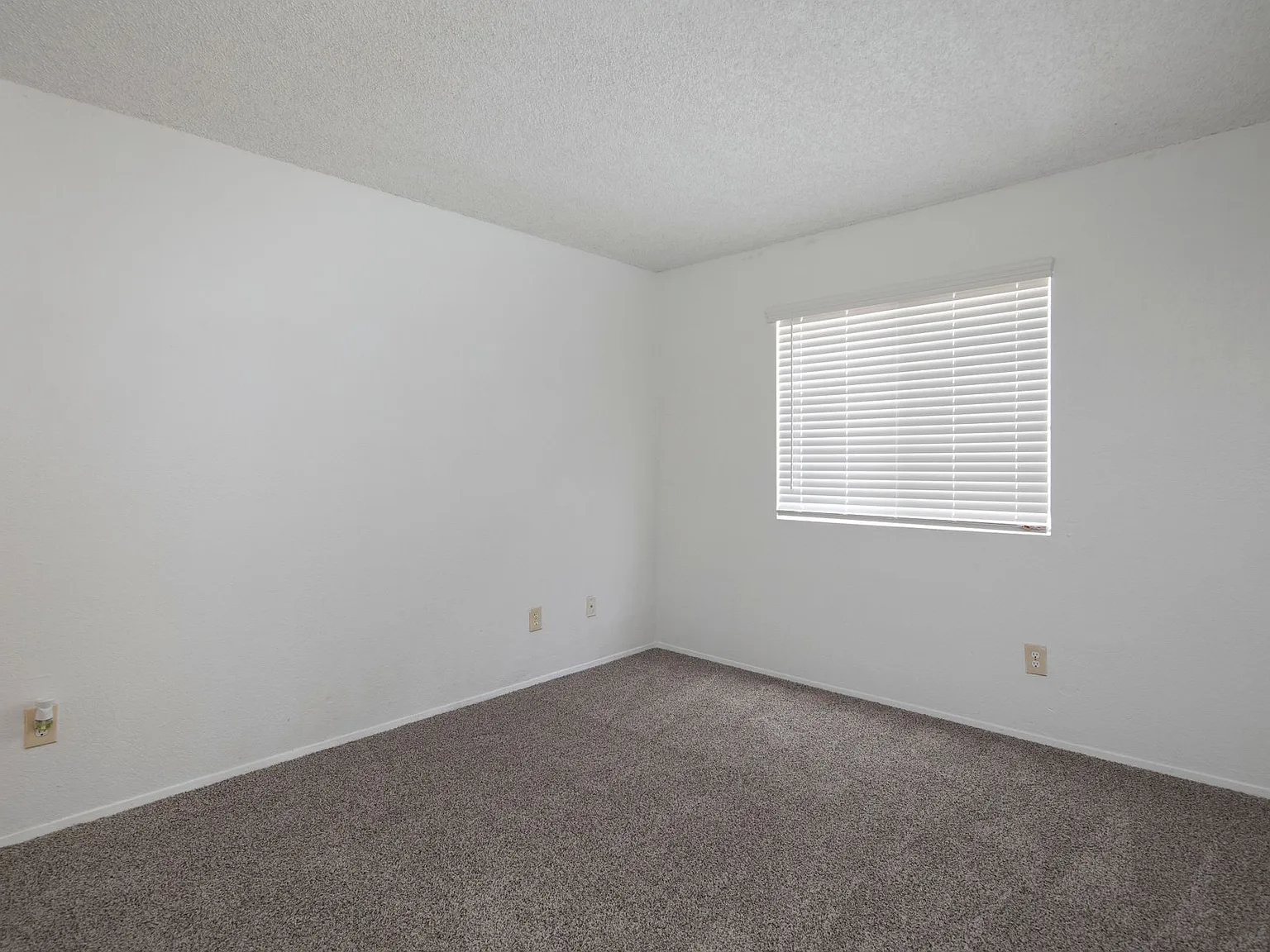 3 bed 2 bath in the heart of San Diego — Photo 4