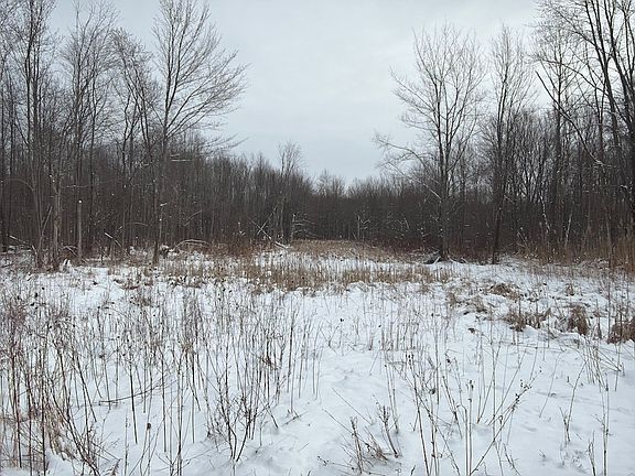5th image of Munson Hill Rd Lot Wp001