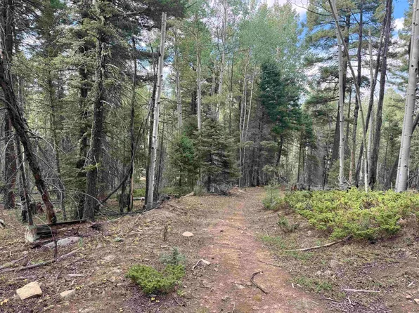 Lot 40 A Vermejo Terrace, Angel Fire, NM 87710