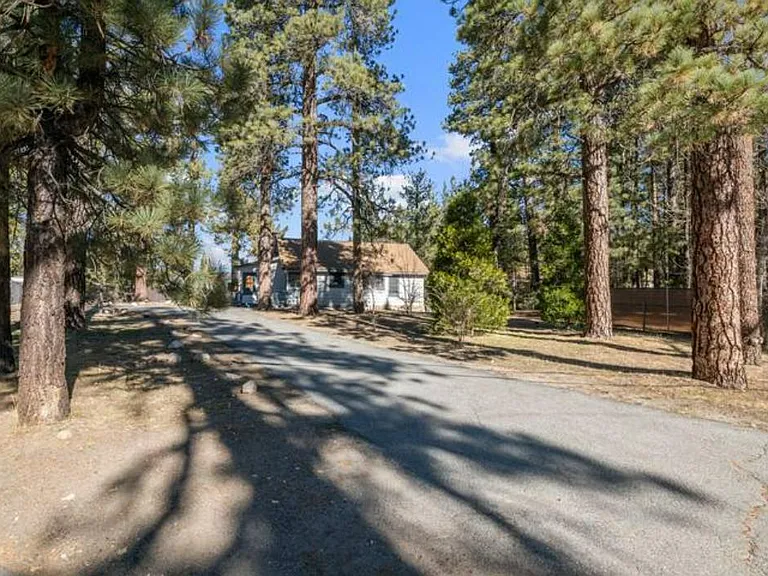 697 Chipmunk Ln — Photo 19