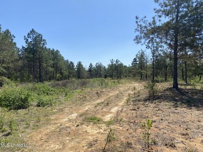 6479 Highway 4 W #1, Holly Springs, MS, 38635