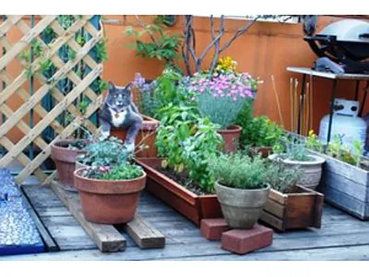 Sold by Corcoran | media 32