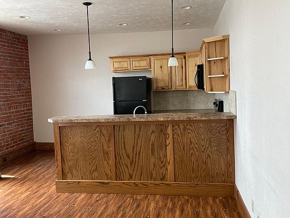 Kitchen- Fridge, Microwave, Oven & Dishwasher