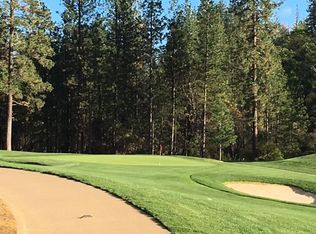 1751 The Point Rd, Meadow Vista, CA 95722