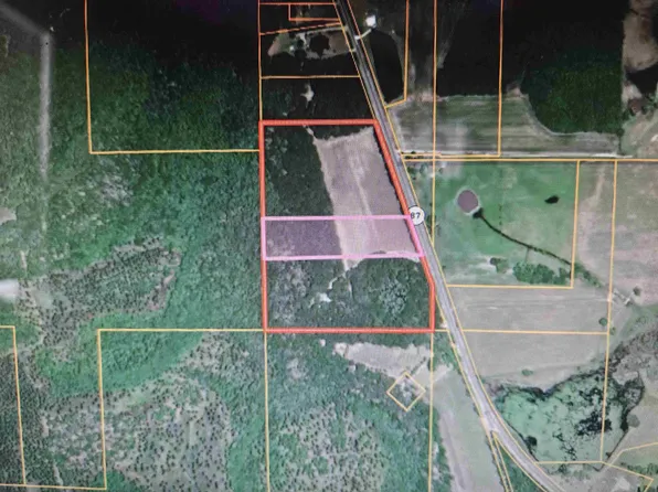 S South Street Hwy #87, Samson, AL 36477