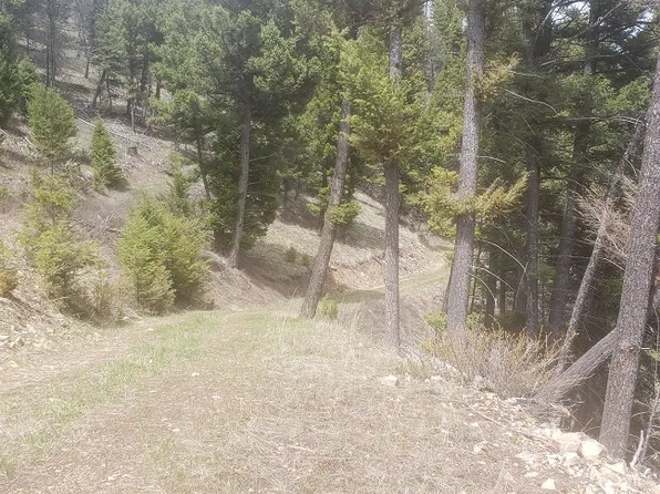 Nhn Wyman Gulch Rd, Philipsburg, MT 59858