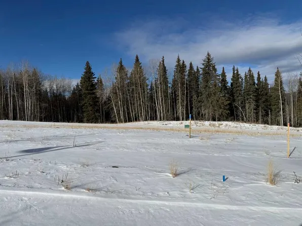 460 Lily Ave, Nordegg, AB T0M 2H0