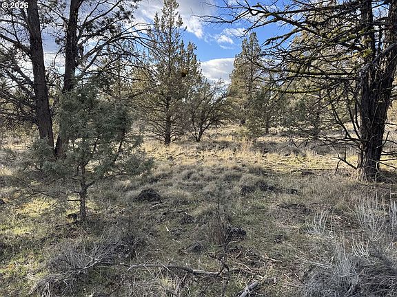 5th image of Canvasback Dr #36