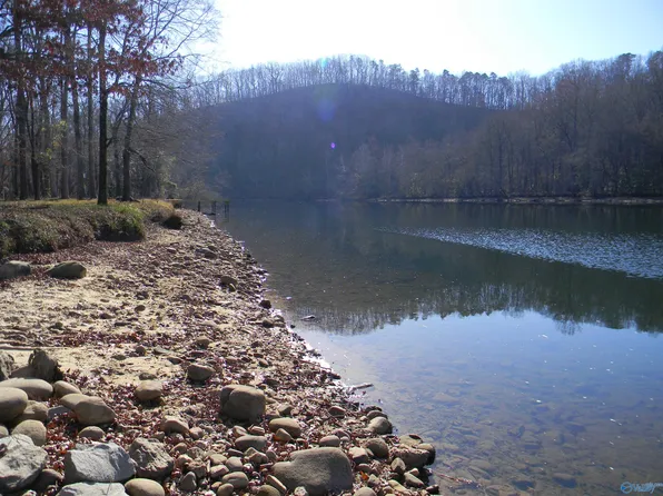 Little River County Rd #243, Cedar Bluff, AL 35959