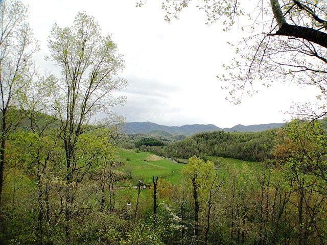 Check out the VIEW!