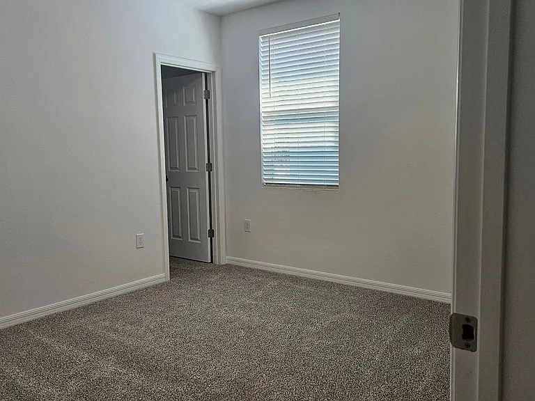 2335 White Tail St — Photo 13