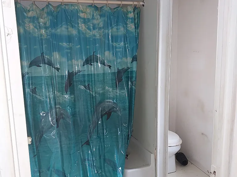 6632 Charleston Trl — Photo 6