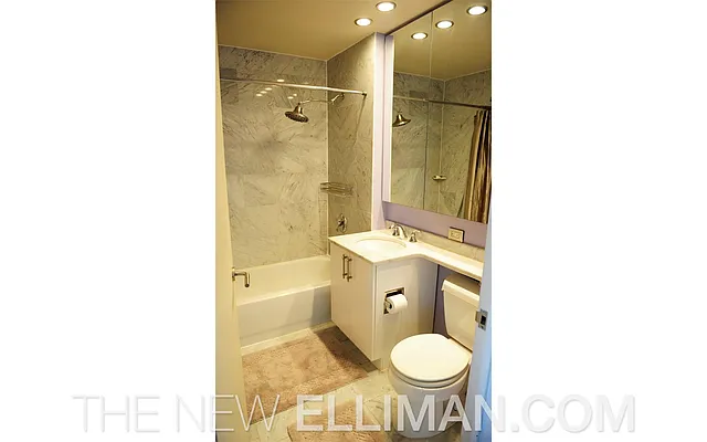 Rented by Douglas Elliman | media 16