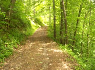 0 Davis Hollow Dark Hollow Rd, Sneedville, TN 37869