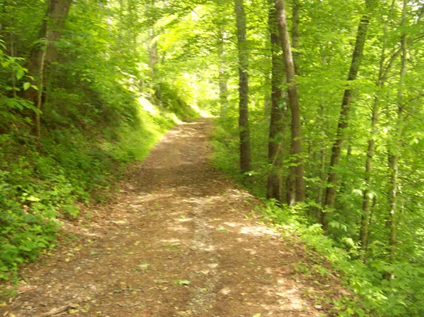 0 Davis Hollow Dark Hollow Rd, Sneedville, TN 37869
