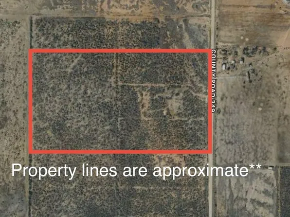 3689 County Road 349, Charlotte, TX 78011