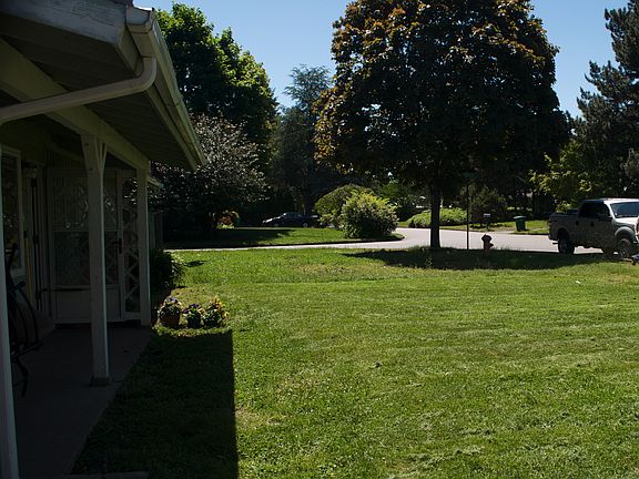 Front Yard