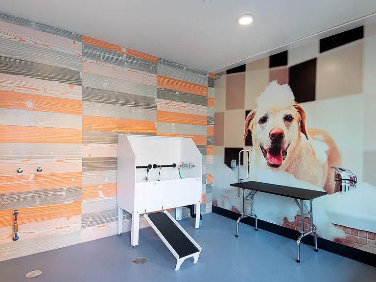 Pet Wash Station