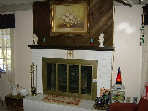 wood burning fireplace