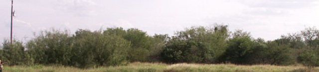 1st image of 83 Expressway 83 Next To 1118 E