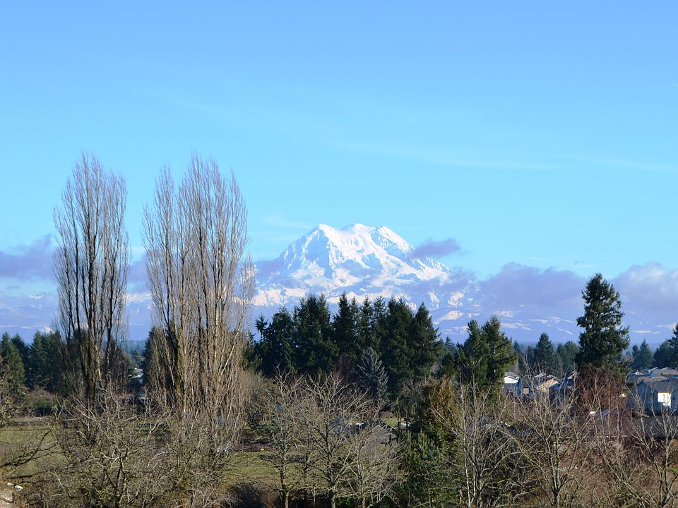 view berry valley_01012016