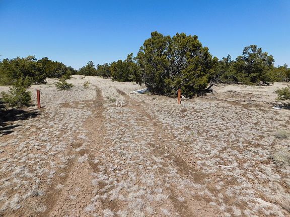 3rd image of 26 Spring Canyon Cir