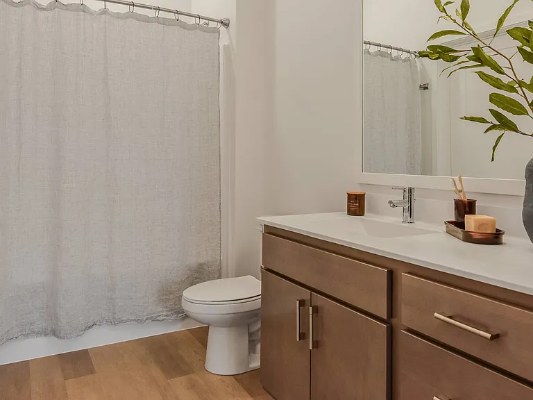 A bathroom with a toilet, sink, and a plant.