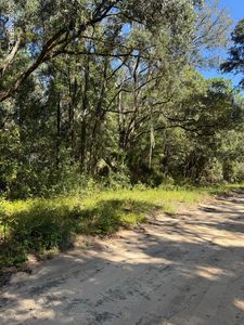 0 ARNOLD Street, Interlachen, FL, 32148
