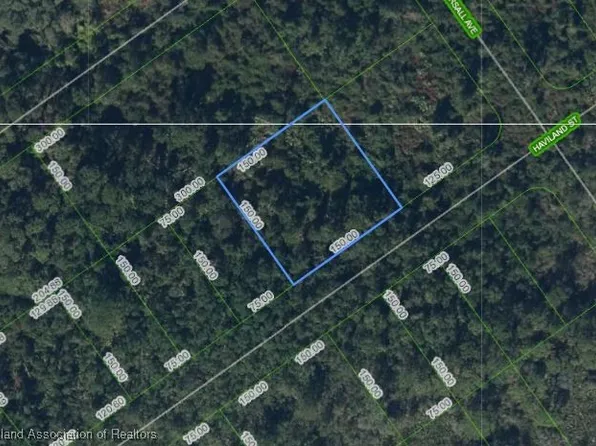 1210 Haviland St, Lake Placid, FL 33852